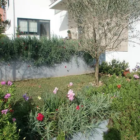 招待所 西罗萨之家旅馆 *