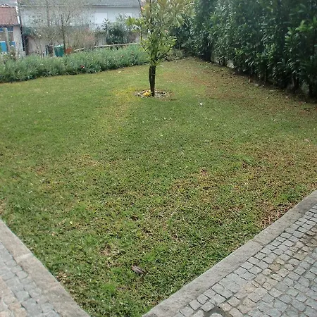 Πανσιόν Casa De Coelhosa *