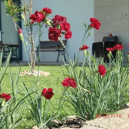 Guest house Casa De Coelhosa