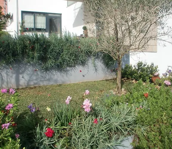 招待所 西罗萨之家旅馆 *